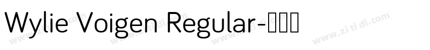 Wylie Voigen Regular字体转换
